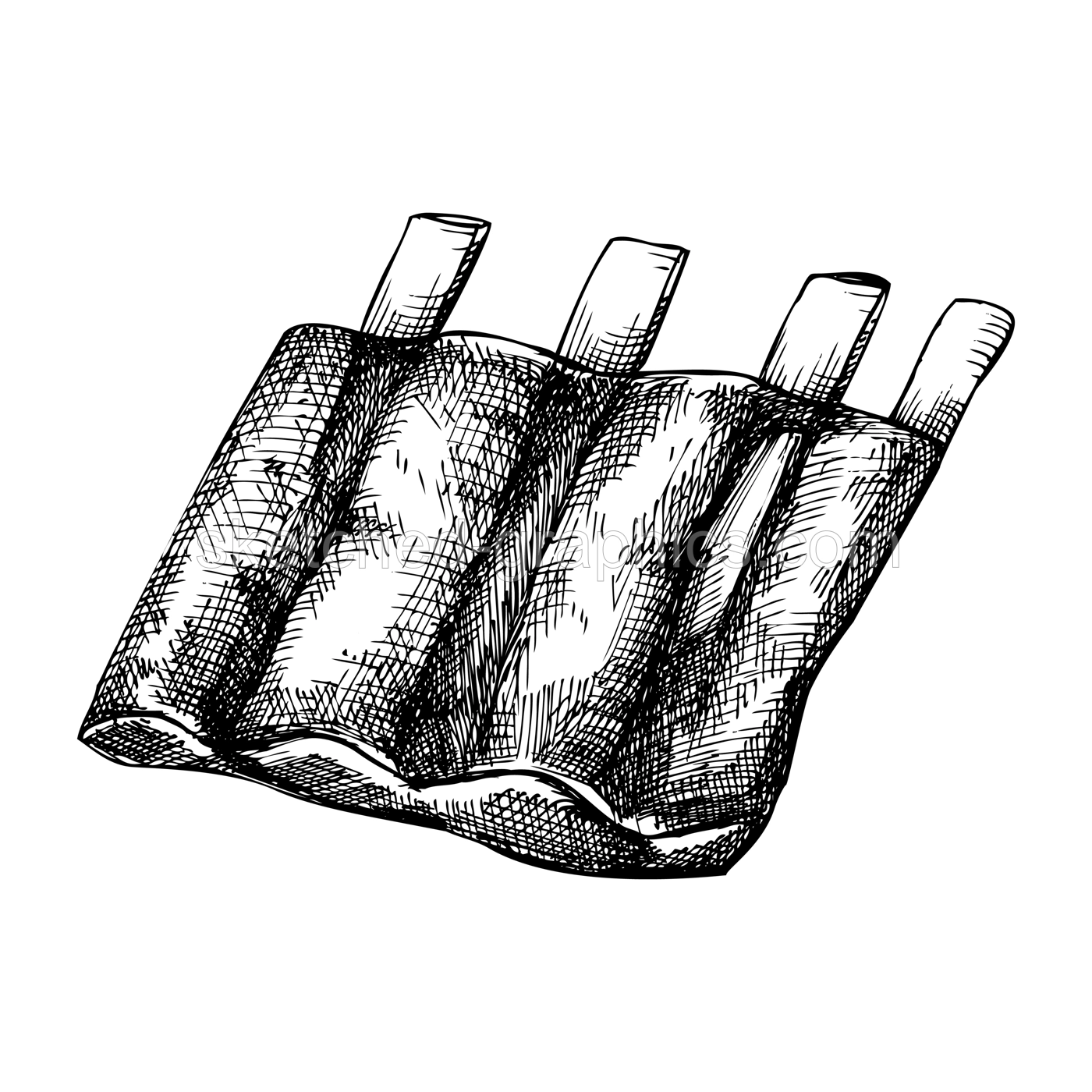 Pork ribs vintage drawing. German food sketch. Oktoberfest menu design. Hand-drawn food illustration for Octoberfest. Traditional German festival cuisine pork meal.  Illustration